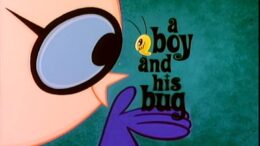A-Boy-and-His-Bug