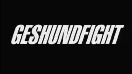 Geshundfight