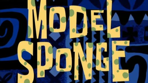 Model Sponge