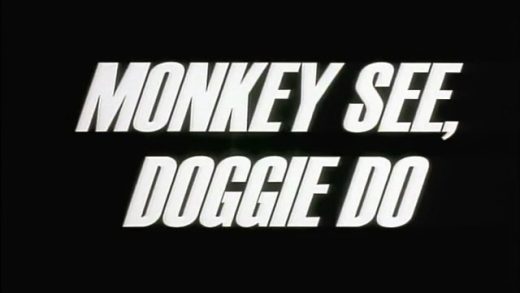 Monkey See, Doggie Do