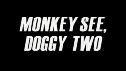 Monkey-See-Doggy-Two