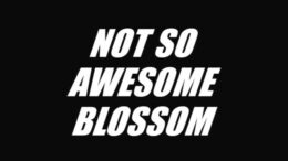 Not-So-Awesome-Blossom