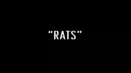 Rats