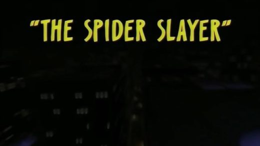 The Spider Slayer