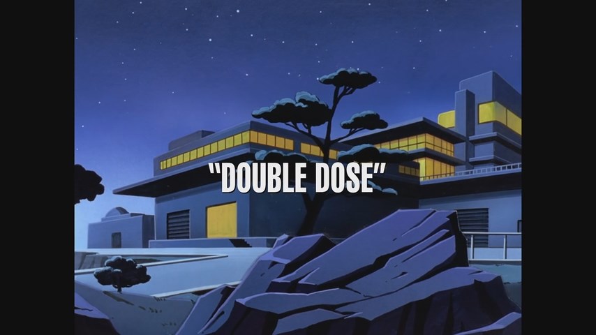 Superman: The Animated Series - Double Dose