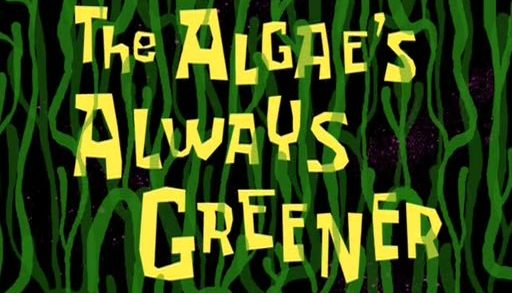 The Algae’s Always Greener
