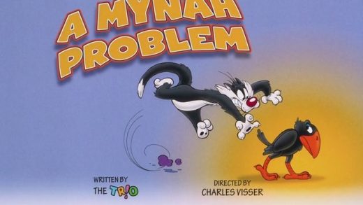A Mynah Problem