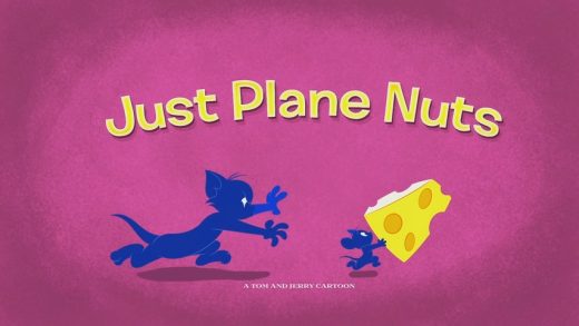 Just Plane Nuts