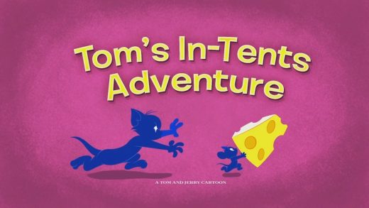 Tom’s In-Tents Adventure