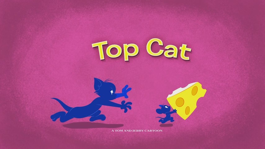 The Tom and Jerry Show - Top Cat
