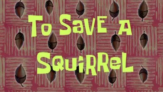To Save a Squirrel