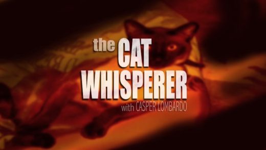 The Cat Whisperer with Casper Lombardo