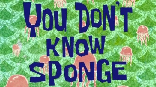 You Don’t Know Sponge