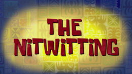 the-nitwitting